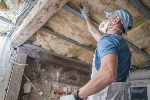 Types of Insulation We Offer in Gower, MO