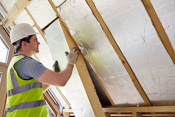 Best DIY Insulation Kits and Guidance in Gower, MO